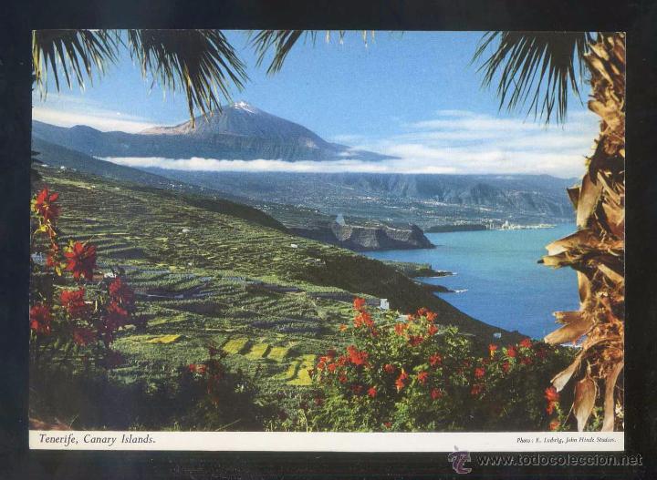 Postales: Teide *La variedad...* Ed. John Hinde n&ordm; 2CT-112. Circulada 1969.