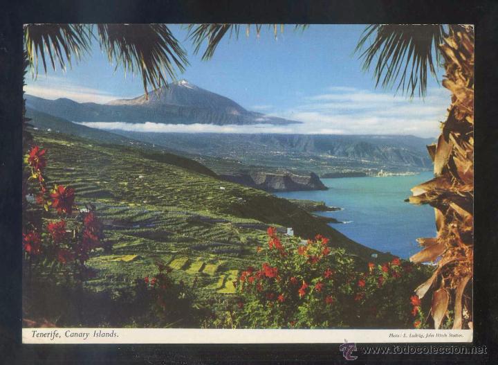 Postales: Teide *La variedad...* Ed. John Hinde n&ordm; 2CT-112. Circulada 1969.