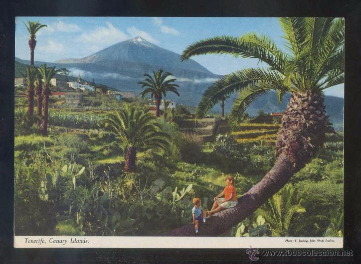 Postales: Teide *La variedad...* Ed. John Hinde n&ordm; 2CT-13. Nueva.