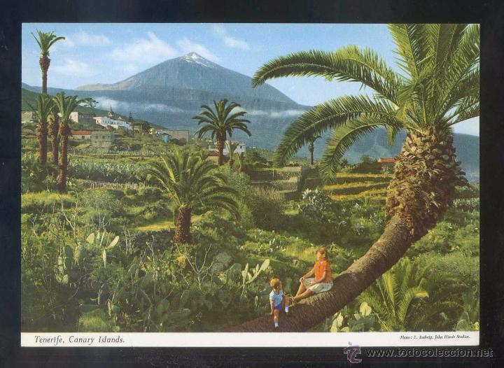 Postales: Teide. *La variedad...* Ed. John Hinde n&ordm; 2CT-13. Nueva.