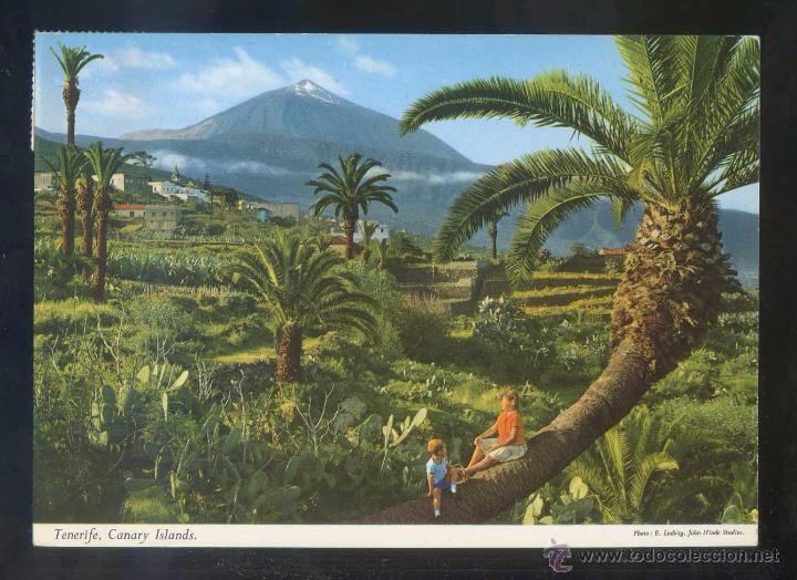 Postales: Teide *La variedad...* Ed. John Hinde n&ordm; 2CT-13. Circulada 1969.