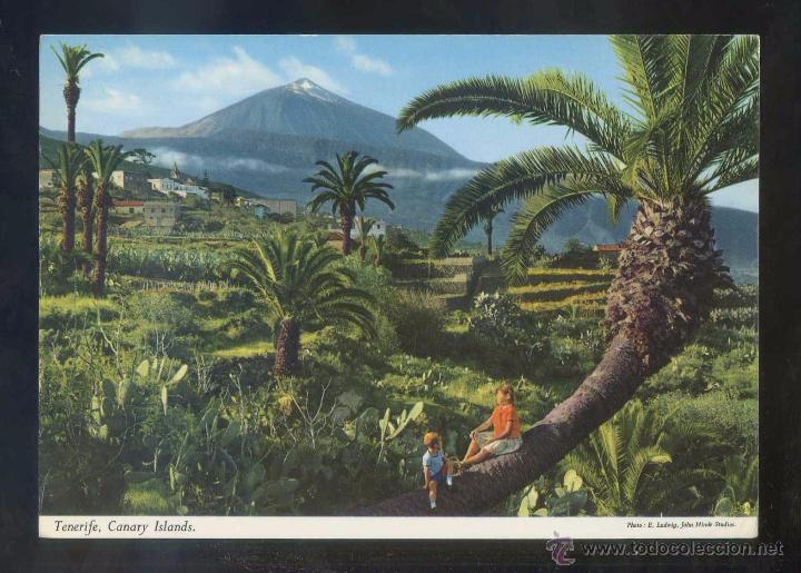 Postales: Teide *La variedad...* Ed. John Hinde n&ordm; 2CT-13. Circulada 1972.
