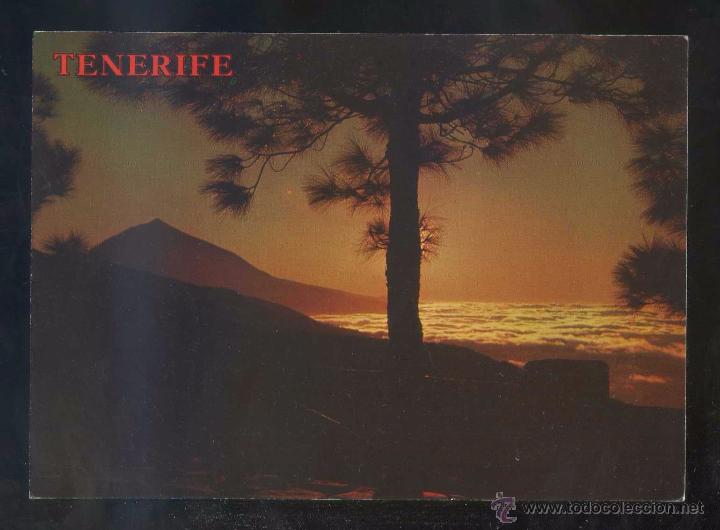 Postales: Teide *Mirador de Ortu&ntilde;o...* Ed. Perla n&ordm; 3017. Nueva.