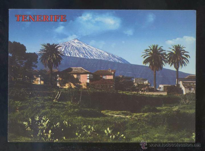 Postales: Teide *Caser&iacute;o t&iacute;pico...* Ed. Perla n&ordm; 4372. Nueva.