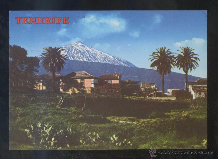 Postales: Teide *Caser&iacute;o t&iacute;pico...* Ed. Perla n&ordm; 4372. Circulada 1977.