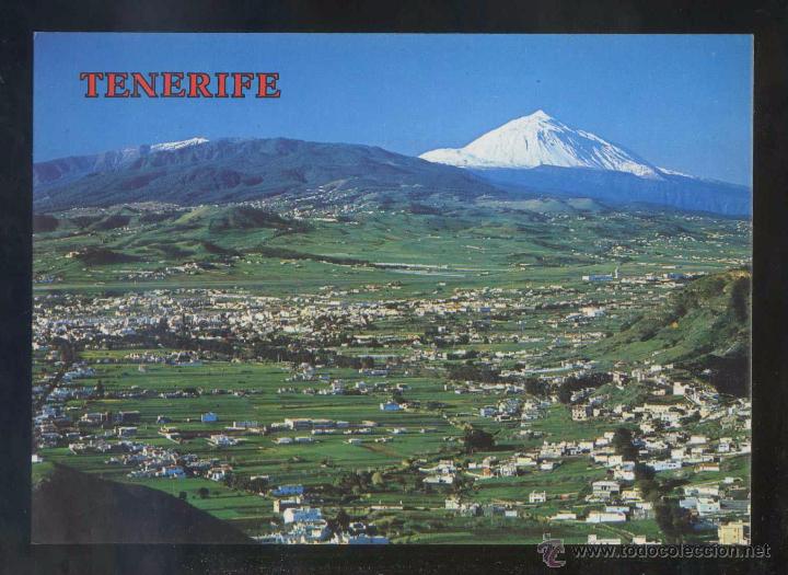 Postales: Teide *Vega Lagunera...* Ed. Perla n&ordm; 5604. Nueva.