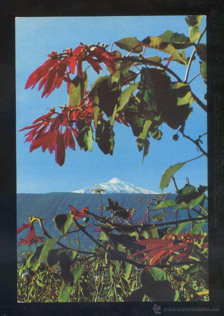 Postales: Teide *El volc&aacute;n...* Ed. Ro - Foto n&ordm; 320. Nueva.