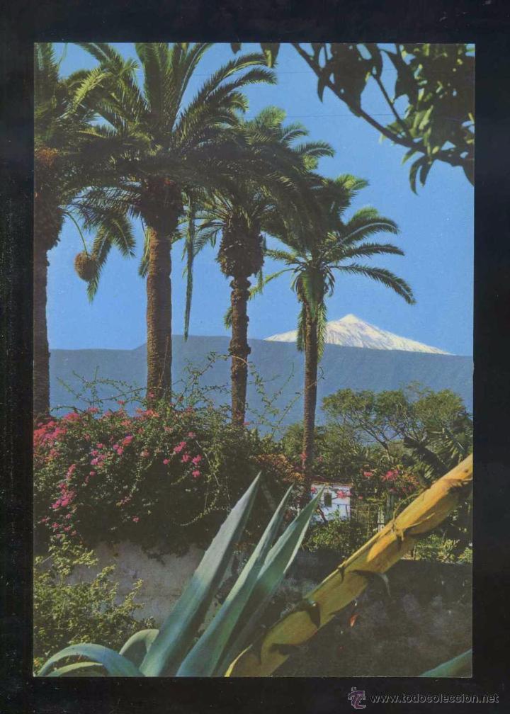 Postales: Teide *El volc&aacute;n...* Ed. Ro - Foto n&ordm; 236. Nueva.