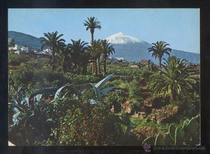 Postales: Teide *Panor&aacute;mica...* Ed. Ro - Foto n&ordm; 475. Nueva.