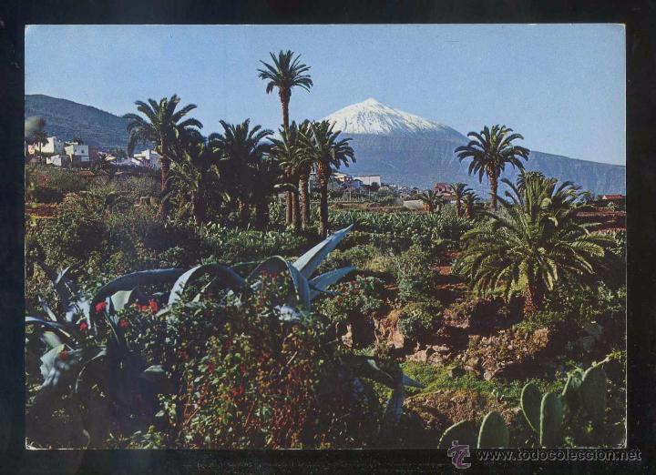 Postales: Teide. *Panor&aacute;mica...* Ed. Ro - Foto n&ordm; 475. Circulada.