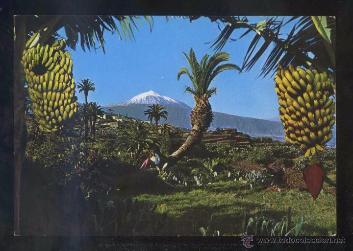 Postales: Teide *Panorama...* Ed. Ro - Foto n&ordm; 480. Nueva.