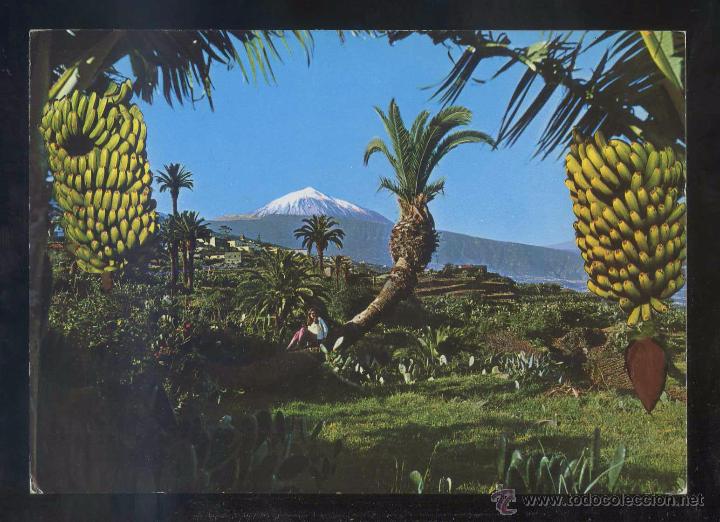 Postales: Teide *Panorama...* Ed. Ro - Foto n&ordm; 480. Circulada 1972.