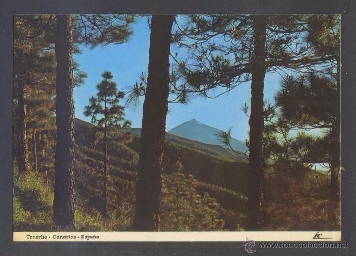 Postales: Teide *Vista...* Ed. Iber Cromo n&ordm; TF-0041. Nueva.