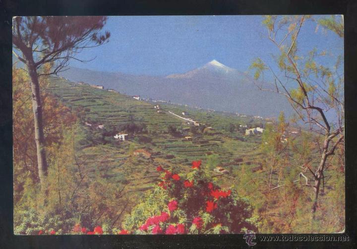 Postales: Teide *Paisaje...* Ed. Fotocolor Valman n&ordm; 221. Nueva.