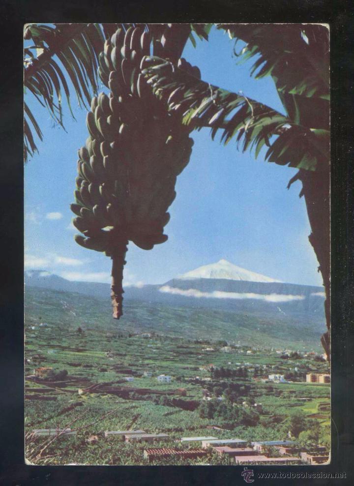 Postales: Teide *Motivo t&iacute;pico* Ed. Fotocolor Valman n&ordm; 280. Nueva.