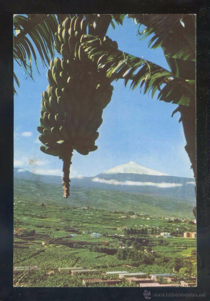 Postales: Teide *Motivo t&iacute;pico* Ed. Fotocolor Valman n&ordm; 280. Escrita.