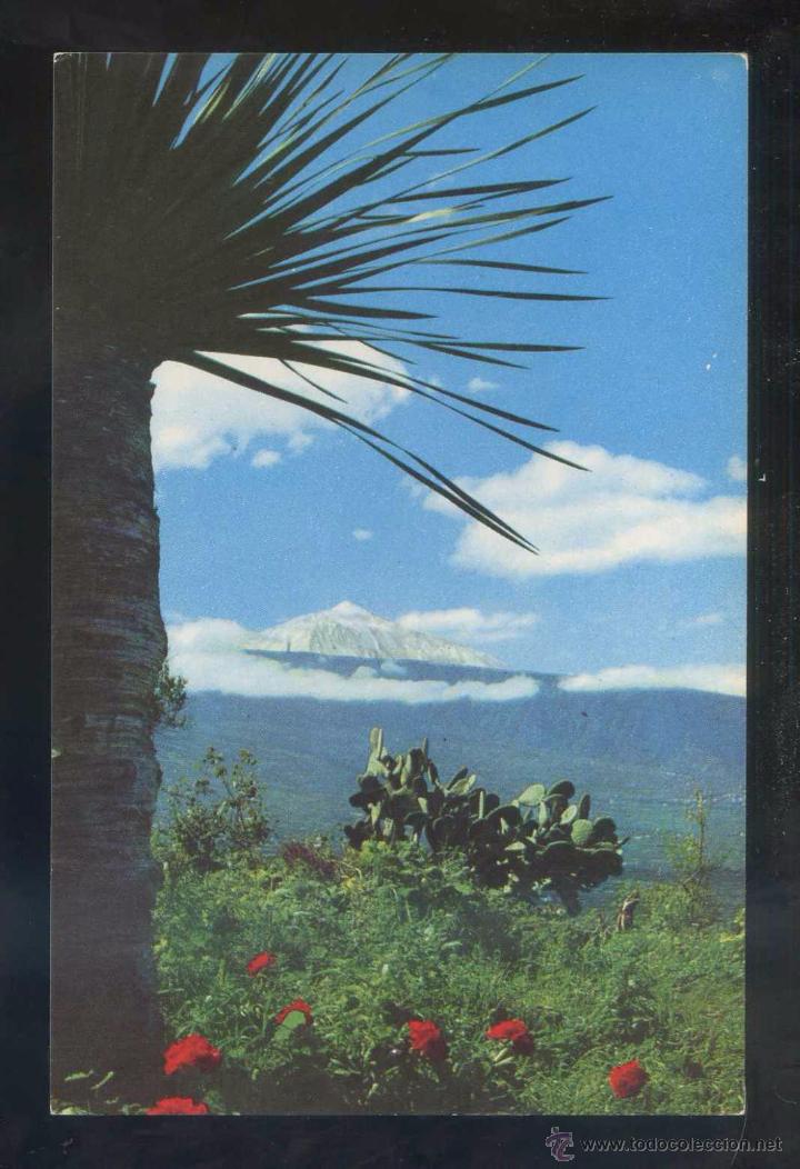 Postales: Teide *Motivo t&iacute;pico* Ed. Fotocolor Valman n&ordm; 300. Nueva.