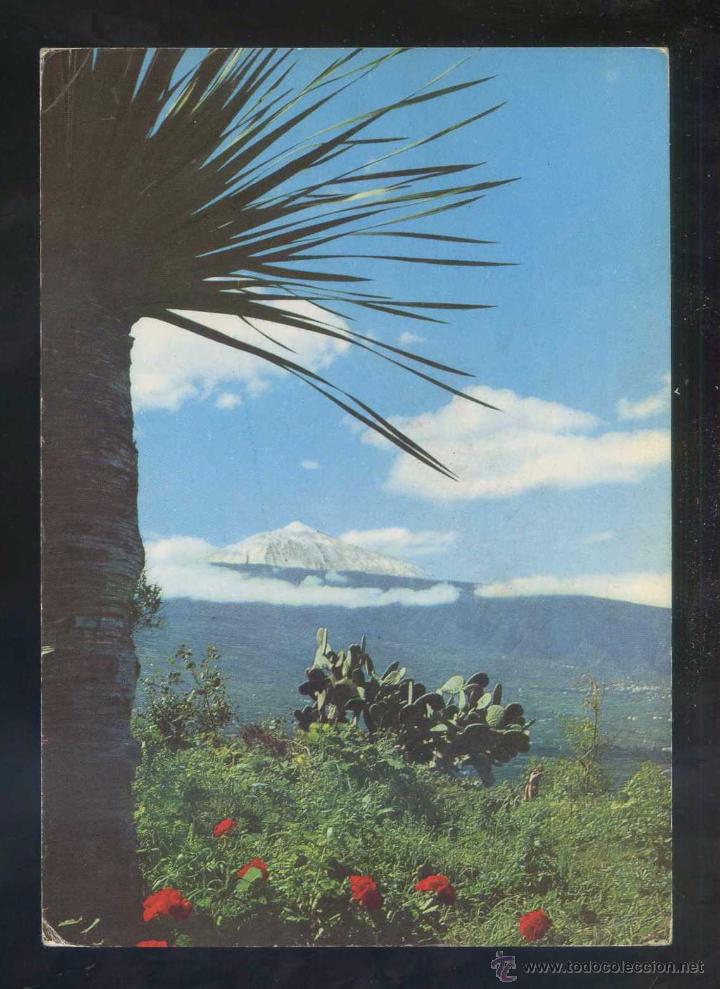 Postales: Teide *Motivo t&iacute;pico* Ed. Fotocolor Valman n&ordm; 300. Circulada.
