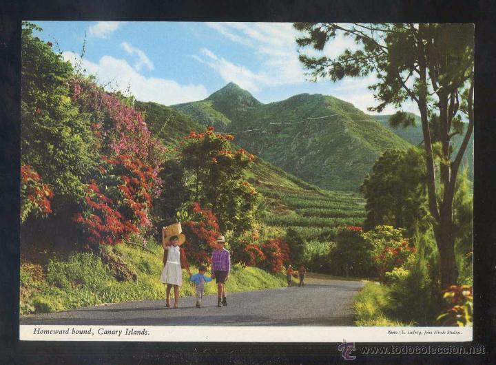 Postales: *Verdaderos...* Ed. John Hinde n&ordm; 2CTG-19. Nueva.