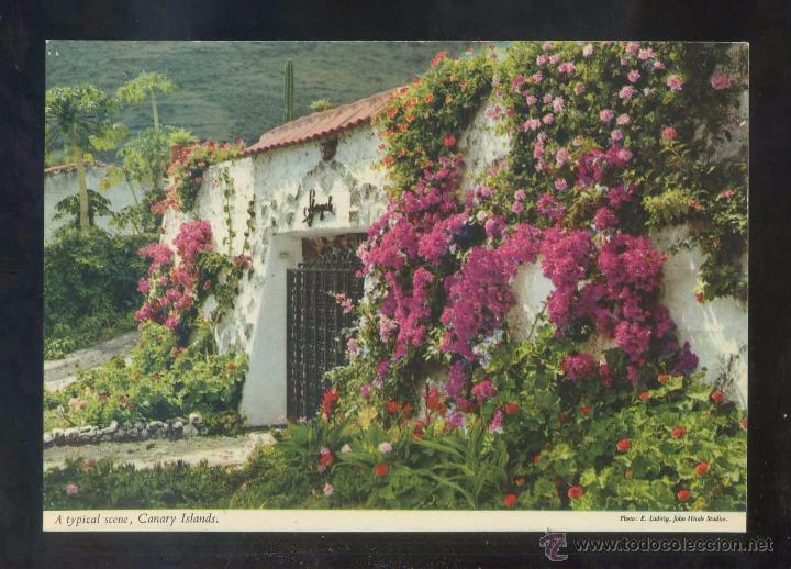 Postales: *Portada de una residencia...* Ed. John Hinde n&ordm; 2CTG-163. Nueva.