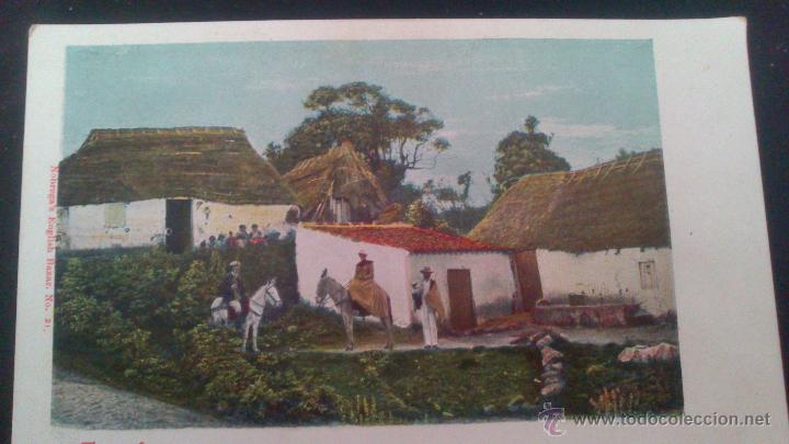 Postales: TENERIFE, POSTAL NUMERO 2052 - Foto 1