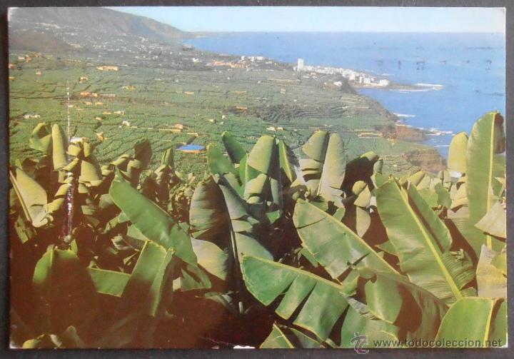 Postales: (30374)POSTAL ESCRITA,VALLE DE LA OROTAVA (TENERIFE),PUERTO DE LA CRUZ,SANTA CRUZ DE TENERIFE,CANARI