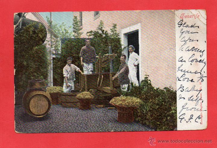 Postales: tenerife. lagar - Foto 1