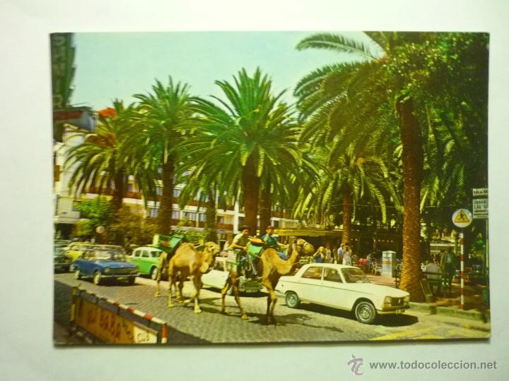 Postales: POSTAL PUERTO DE LA CRUZ-``PL.CHARCO -COCHES SEAT-