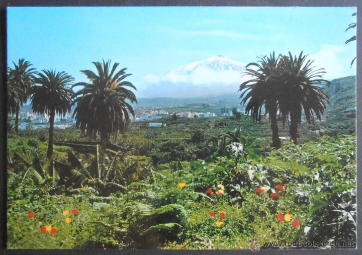 Postales: (34828)POSTAL SIN CIRCULAR,EL TEIDE A LO LEJOS,TENERIFE,SANTA CRUZ DE TENERIFE,CASTILLA Y LEON,CONSE