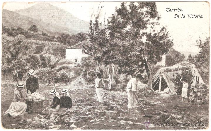 Postales: TENERIFE EN LA VICTORIA - Foto 1