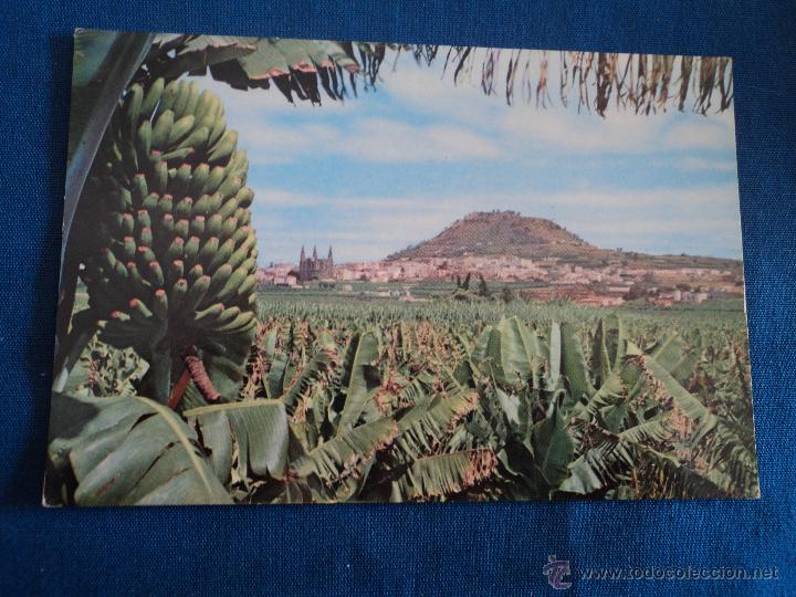 Postales: GRAN CANARIAS ARUCAS - Foto 1