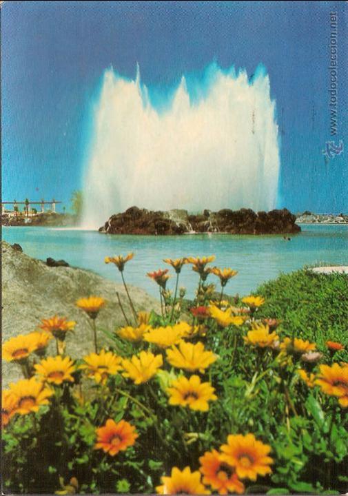 Cartoline: PUERTO DE LA CRUZ (TENERIFE), FLORES EN LAS PISCINAS - EUROAFRICANA 156 - CIRCULADA