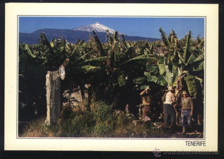Postales: A-2389- TENERIFE. EL TEIDE - Foto 1