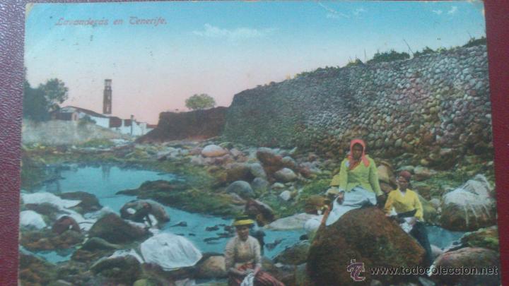 Cartes Postales: POSTAL, LAVANDERAS EN TENERIFE.