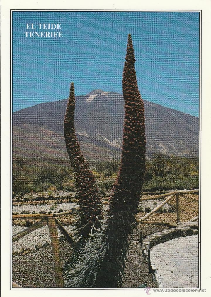 Postales: N&ordm; 25811 POSTAL EL TEIDE TENERIFE - Foto 1