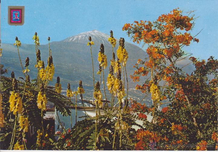 Postales: (69) TENERIFE. EL TEIDE - Foto 1