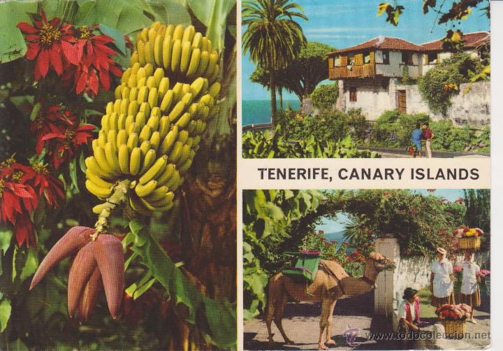 Postales: (34) TENERIFE. - Foto 1