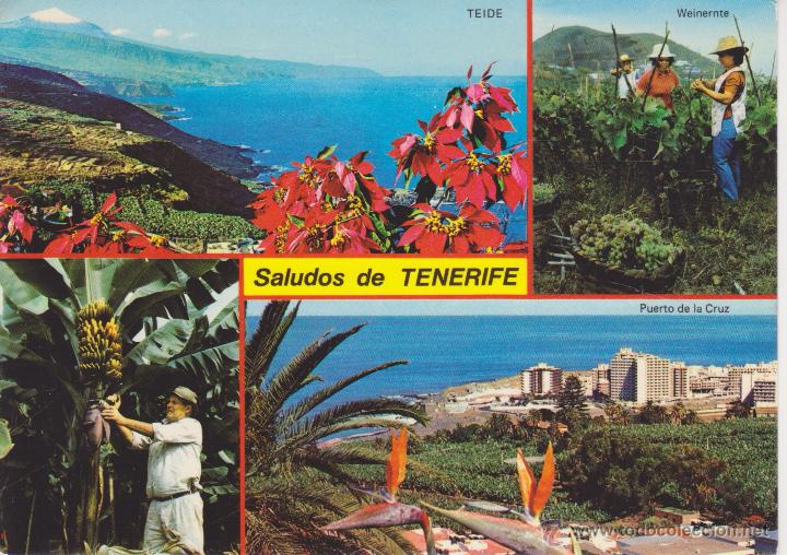Postales: (5931) TENERIFE. - Foto 1