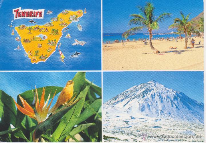 Postales: (10186) TENERIFE - Foto 1