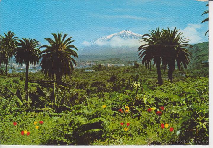 Postales: (45) TENERIFE . TEIDE EN ICOD - Foto 1