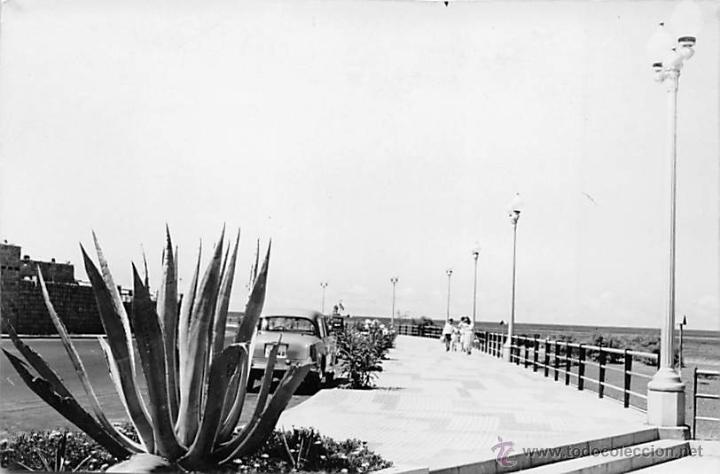 Postales: PUERTO DE LA CRUZ (TENERIFE).- AVENIDA DE COL&Oacute;N