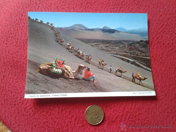 Postais: POSTAL POST CARD LANZAROTE CANARY ISLANDS ISLAS CANARIAS CAMELLOS CAMELS VER FOTO/S Y DESCRIPCION. P