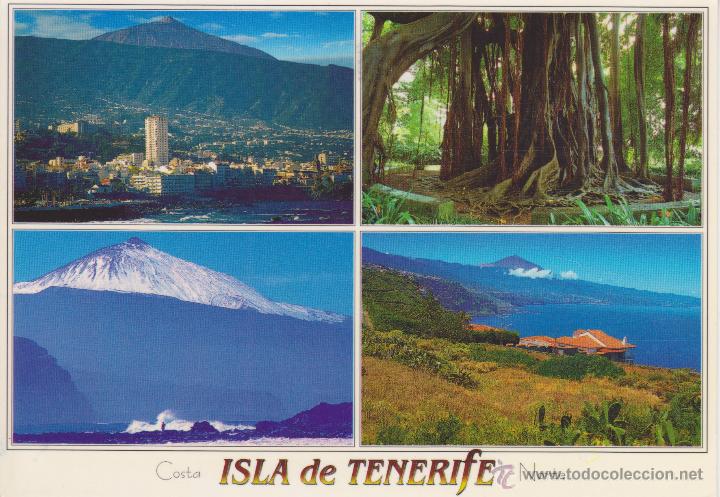 Postales: (208) TENERIFE. COSTA NORTE - Foto 1
