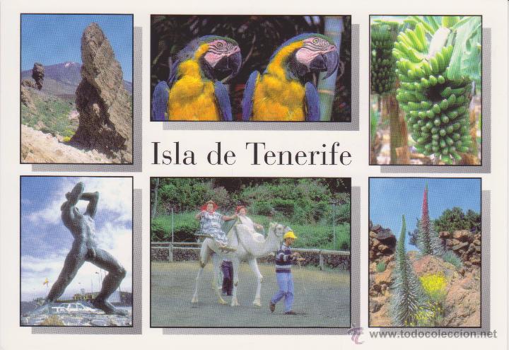 Postales: (8070) TENERIFE. - Foto 1