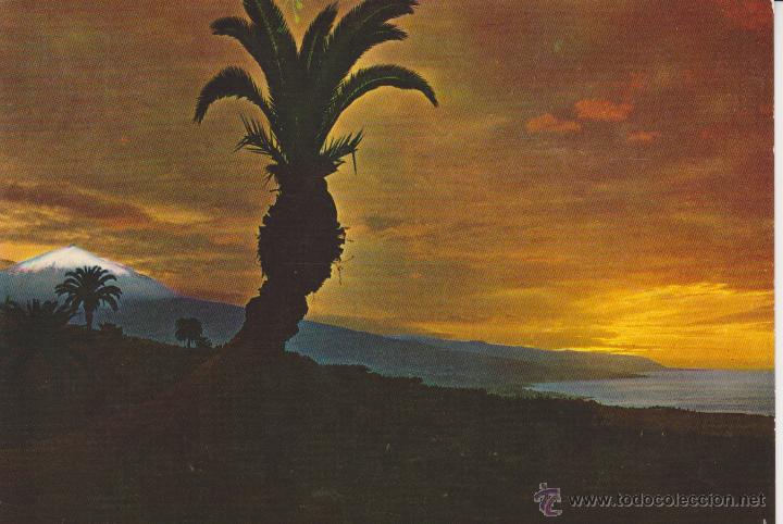 Postales: (472) TENERIFE. PANORAMA CON TEIDE Y MAR - Foto 1