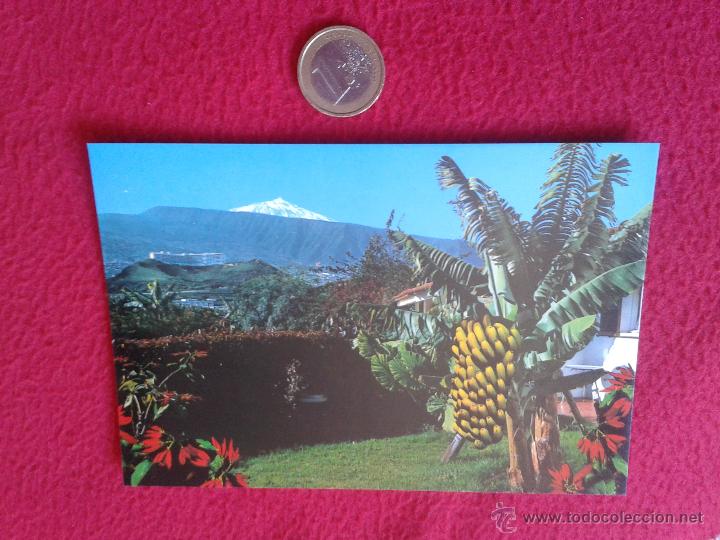 Postales: POSTAL POSTCARD ISLAS CANARIAS VER FOTO TENERIFE PUERTO DE LA CRUZ PAISAJE CON EL TEIDE. ED ANIBARRO
