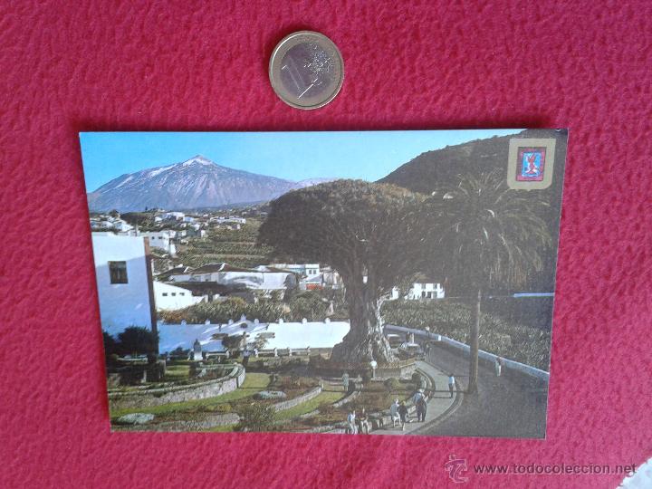 Postales: POSTAL POSTCARD ISLAS CANARIAS VER FOTO TENERIFE ICOD DE LOS VINOS EL DRAGO MILENARIO FISA ESCUDO OR