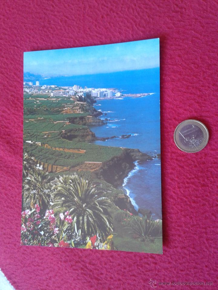 Cartoline: POSTAL POSTCARD ISLAS CANARIAS VER FOTO TENERIFE PLATANERAS EN EL VALLE DE LA OROTAVA PUERTO CRUZ