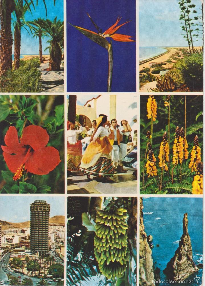 Postales: (10338) GRAN CANARIA