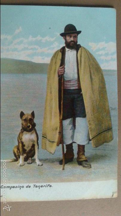 Postales: CAMPESINO DE TENERIFE - Foto 1